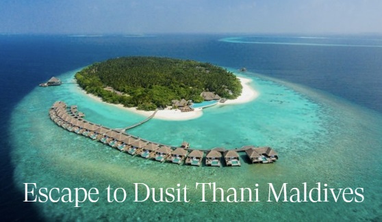 dusit.com 쿠폰